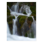 milk.fountain.JPG Postales