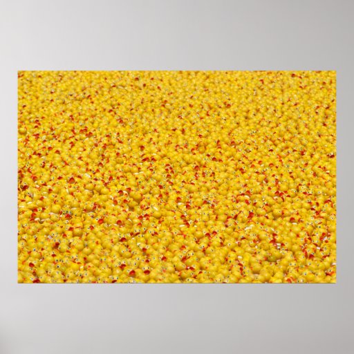 Millares de patos poster