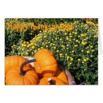 Mini calabazas de la acción de gracias feliz y tar tarjetas