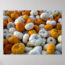 mini calabazas poster