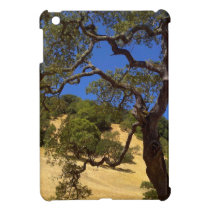 mini caso del iPad - día de California septentrion fundas ipad mini