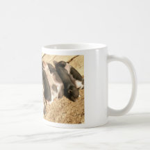 mini-cerdos jovenes taza de café