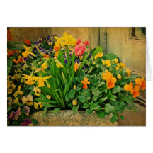 Mini jardín de la primavera tarjeta
