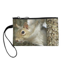 Mini monedero de la ardilla