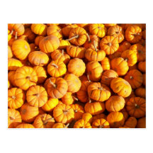 Mini postal de las calabazas