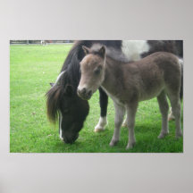 Mini poster de los caballos