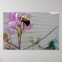 Minúsculo manosee la abeja que recoge la miel y el impresiones