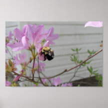 Minúsculo manosee la abeja que recoge la miel y el poster