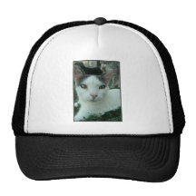 Mirada de la maravilla gorras de camionero