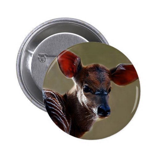 Mirada de los ciervos pin