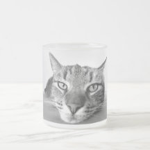 Mirada del gato taza de café