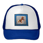 Mirada del metal; Basset Hound Gorro