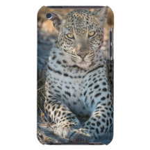 Mirada fija Case-Mate iPod touch cobertura