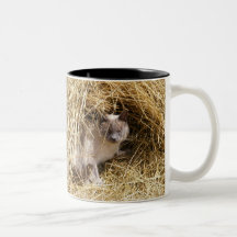 Mire a escondidas un abucheo taza