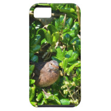 Mirlo en un arbusto del laurel iPhone 5 Case-Mate cobertura