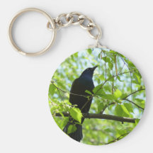 Mirlo Llaveros Personalizados