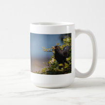 Mirlo Taza