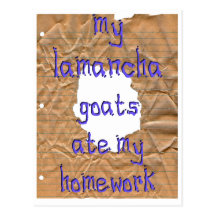 Mis cabras de LaMancha comieron mi preparación Tarjeta Postal