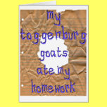 Mis cabras de Toggenburg comieron mi preparación tarjetas