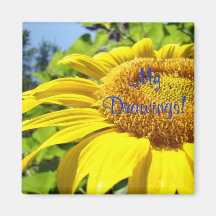 ¡Mis dibujos! jardín amarillo del girasol de los i