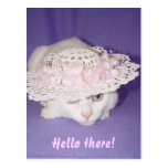 Missy encantador tarjetas postales