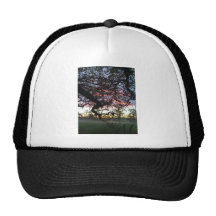 mistyheartsunset gorro de camionero