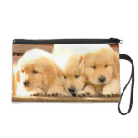 Mitón de 3 perritos del golden retriever