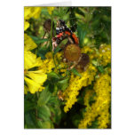Mme Butterfly II Tarjeta