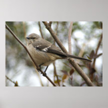 Mockingbird Poster