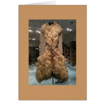Moda en el museo - plumas tarjeton