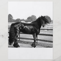 Modelado del caballo flyer personalizado