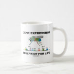 Modelo de la expresión génica para los genes de la taza