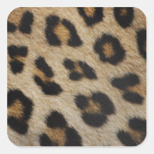 Modelo de la textura de la piel del leopardo pegatinas cuadradases personalizadas
