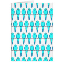 Modelo de los pájaros azules del Parakeet Tarjetas