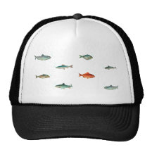 Modelo de los pescados gorros  