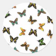 Modelo de mariposa bonito pegatinas redondas