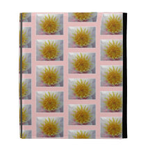 Modelo rosado y amarillo de Froral