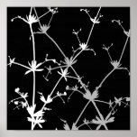 Modelos de nature30 posters