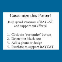 ¡Modifique este poster para requisitos particulare posters