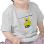 MODIFIQUE la 1ra camiseta del huevo para requisito