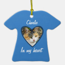 Modifique un tributo/un monumento del gato para re ornato