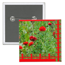 Mohnblumen Anstecknadel