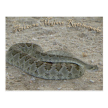 mojave tarjeta postal