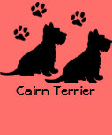 Mojón Terrier Camiseta