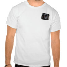 Mollu Camisetas
