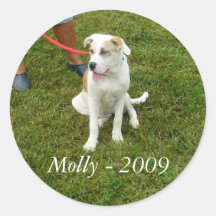 Molly - 2009 - PEGATINA