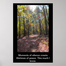 Momentos Poster
