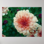 Momia Posters