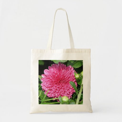 Momia rosada bolsa de mano
