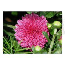 Momia rosada bonita felicitacion 